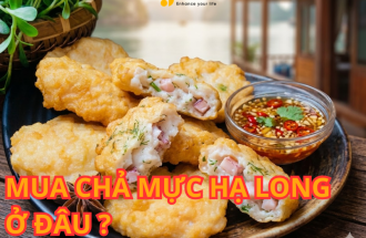 CHẢ MỰC HẠ LONG LOẠI NÀO NGON NHẤT ? MUA CHẢ MỰC HẠ LONG Ở ĐÂU ?