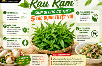 Rau Răm Có Tác Dụng Gì Với Cơ Thể? Tại Sao Rau Răm Thường Ăn Cùng Trứng Vịt Lộn?