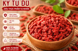 Câu Kỷ Tử Ninh Hạ: "Thần Dược" Bồi Bổ Sức Khỏe và Bí Quyết Sống Khỏe Mỗi Ngày.